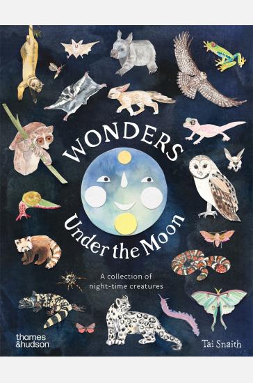 Wonders Under the Moon